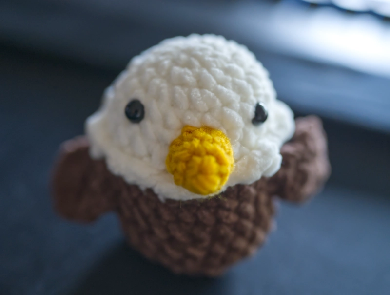 My wife also made me a celebratory plush bald eagle. It's an amazing memento.