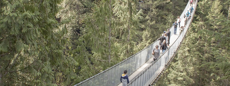 Capilano Bridge in Vancouver