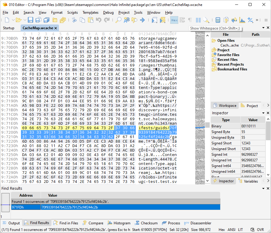 Halo Infinite build GUID as seen in a cache file in a HEX editor.