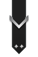 Adornment rank icon for Private Silver