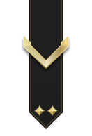 Adornment rank icon for Private Gold
