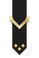 Adornment rank icon for Private Gold