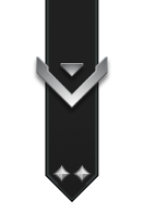 Adornment rank icon for Lance Corporal Silver