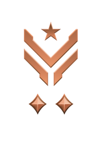 Large rank icon for Master Sergeant Bronze