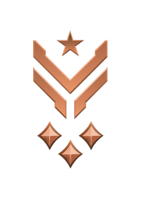 Large rank icon for Master Sergeant Bronze