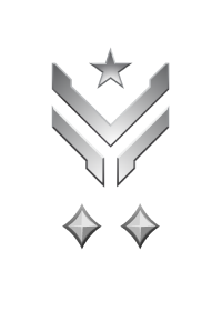 Large rank icon for Master Sergeant Silver