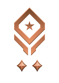 Large rank icon for Lt Colonel Bronze