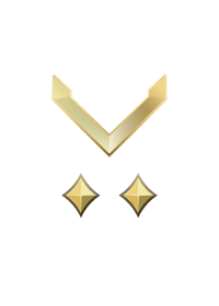 Large rank icon for Private Gold