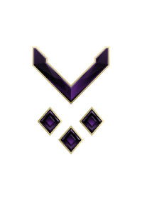 Large rank icon for Private Onyx