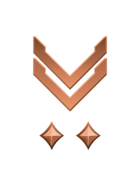 Large rank icon for Sergeant Bronze