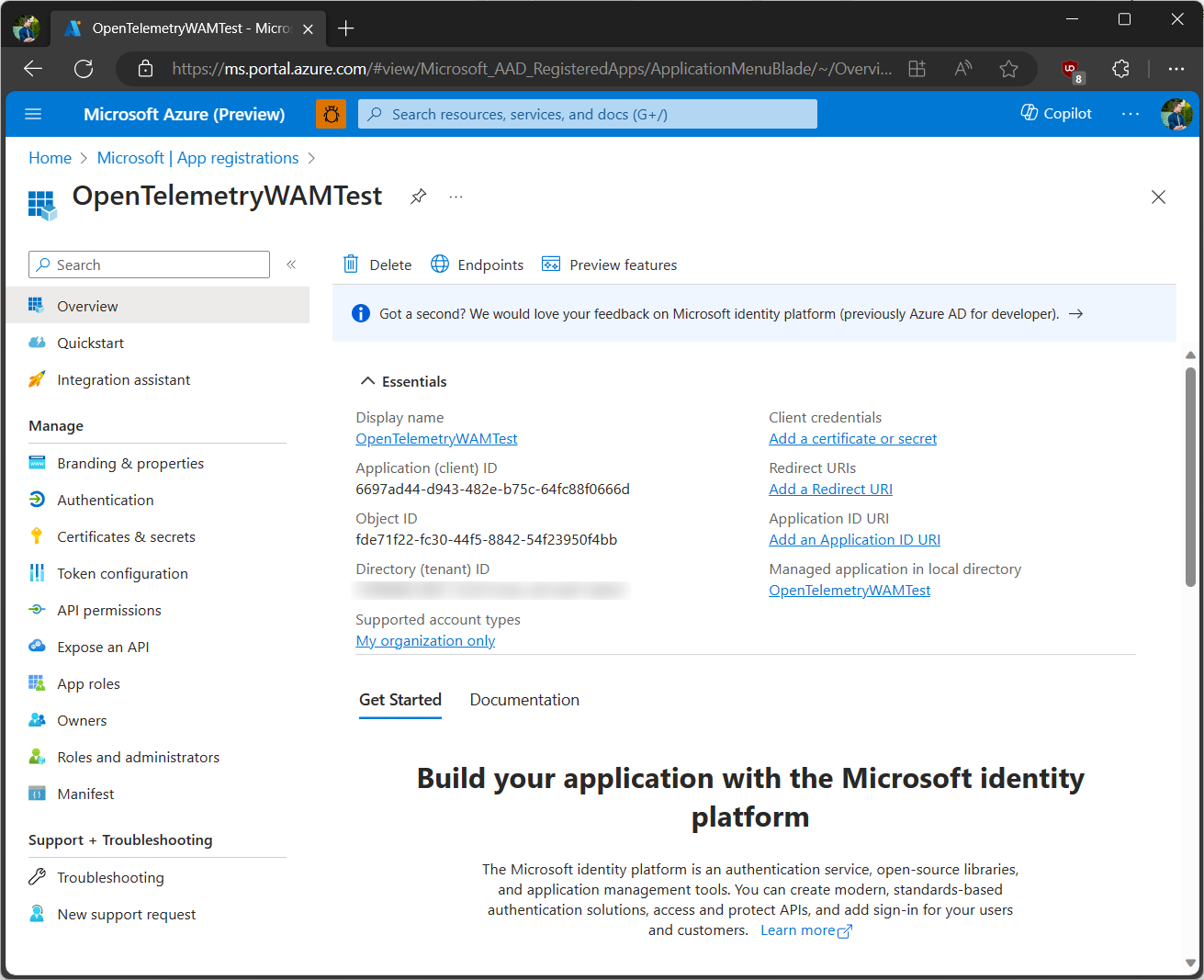 Properties for a Microsoft Entra ID app in Azure Portal.