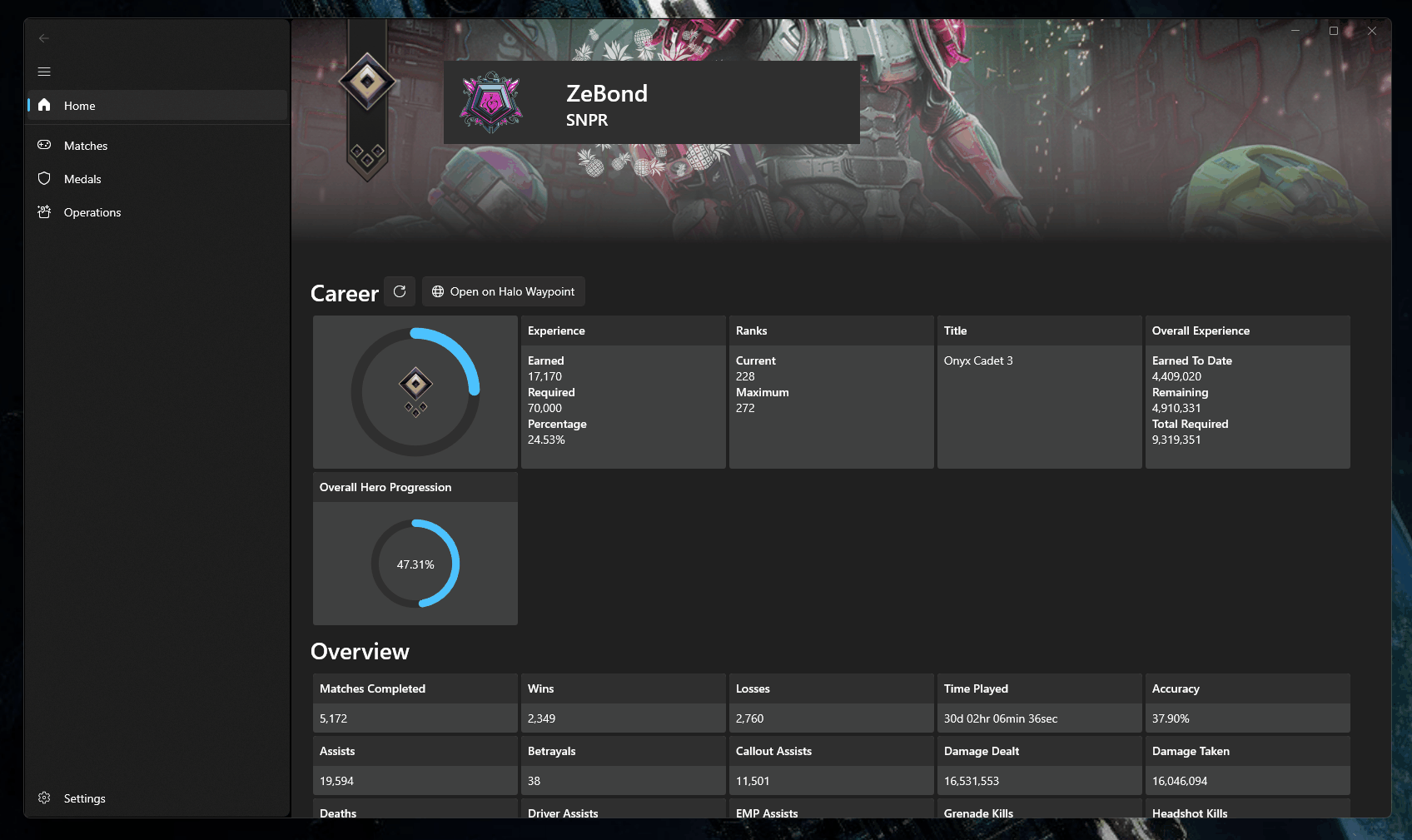 Animated GIF showing ranked match data in match overviews