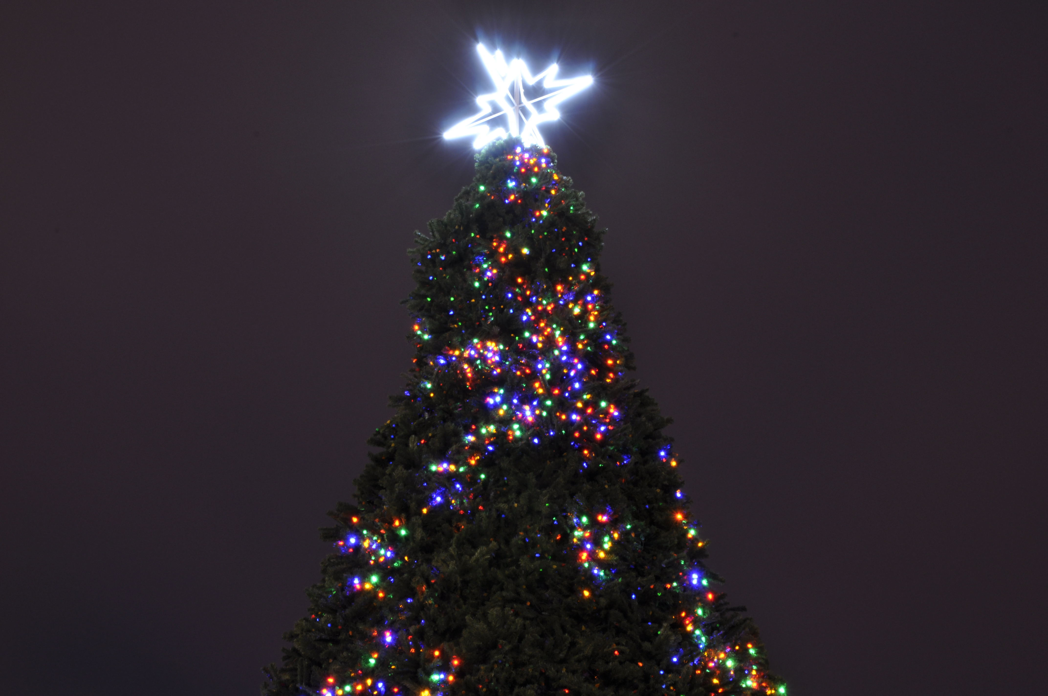Christmas Tree - Vancouver