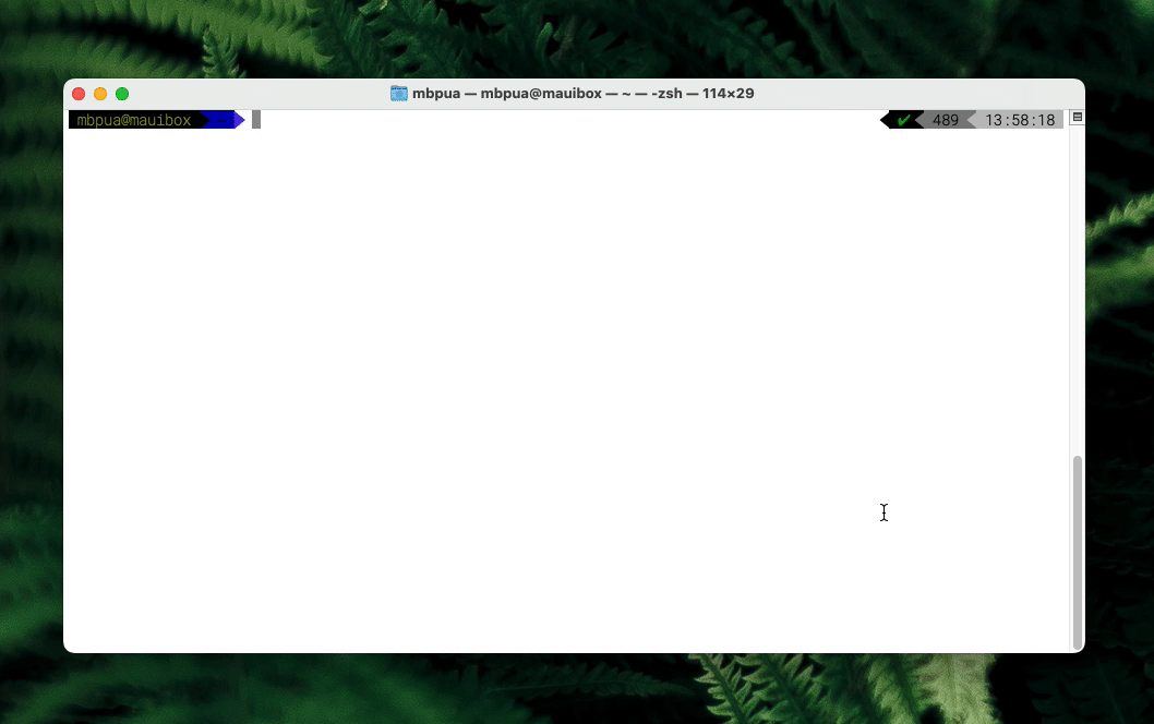 Running the networkquality utility in macOS Terminal.