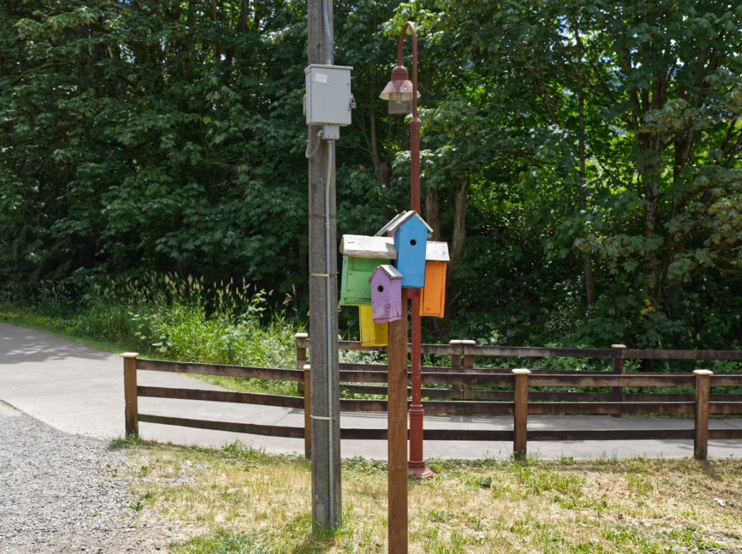 Birdhouses before a troll trail in Issaquah.