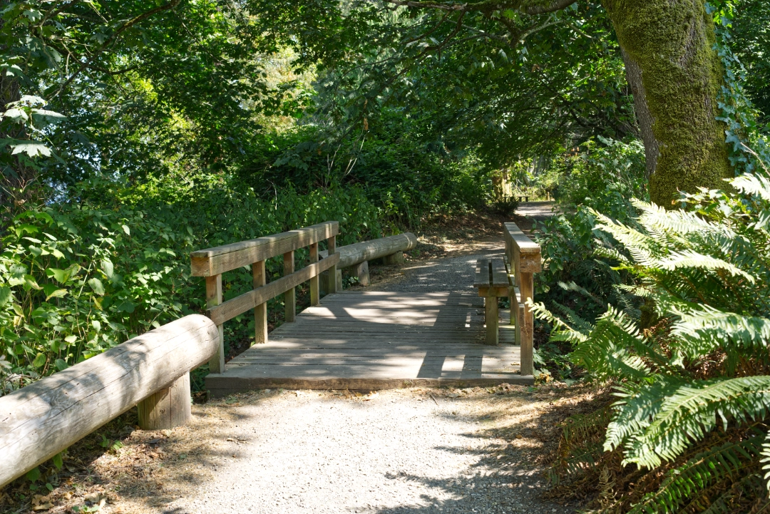 A trail around Oscar the Bird King.