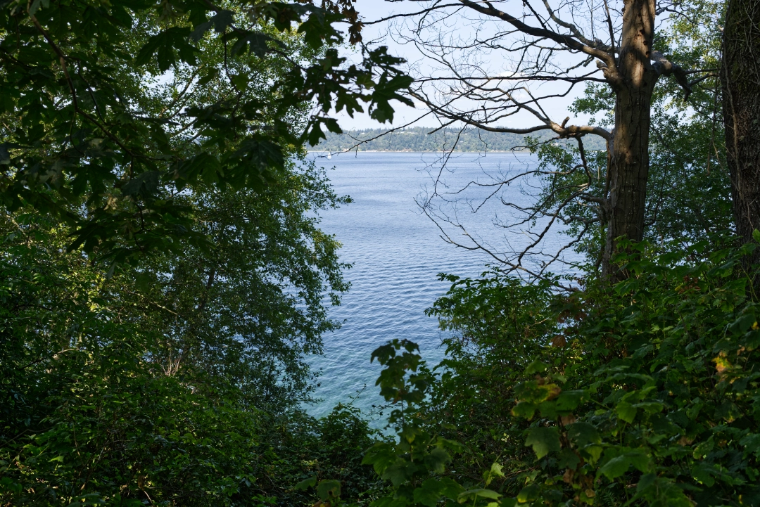 A peek at Puget Sound across the trees from the Point Robinson Park.