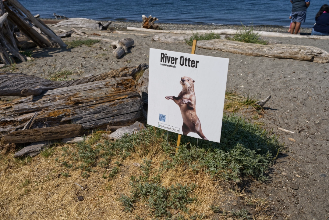 A sign letting us know that we might see river otters in the area.