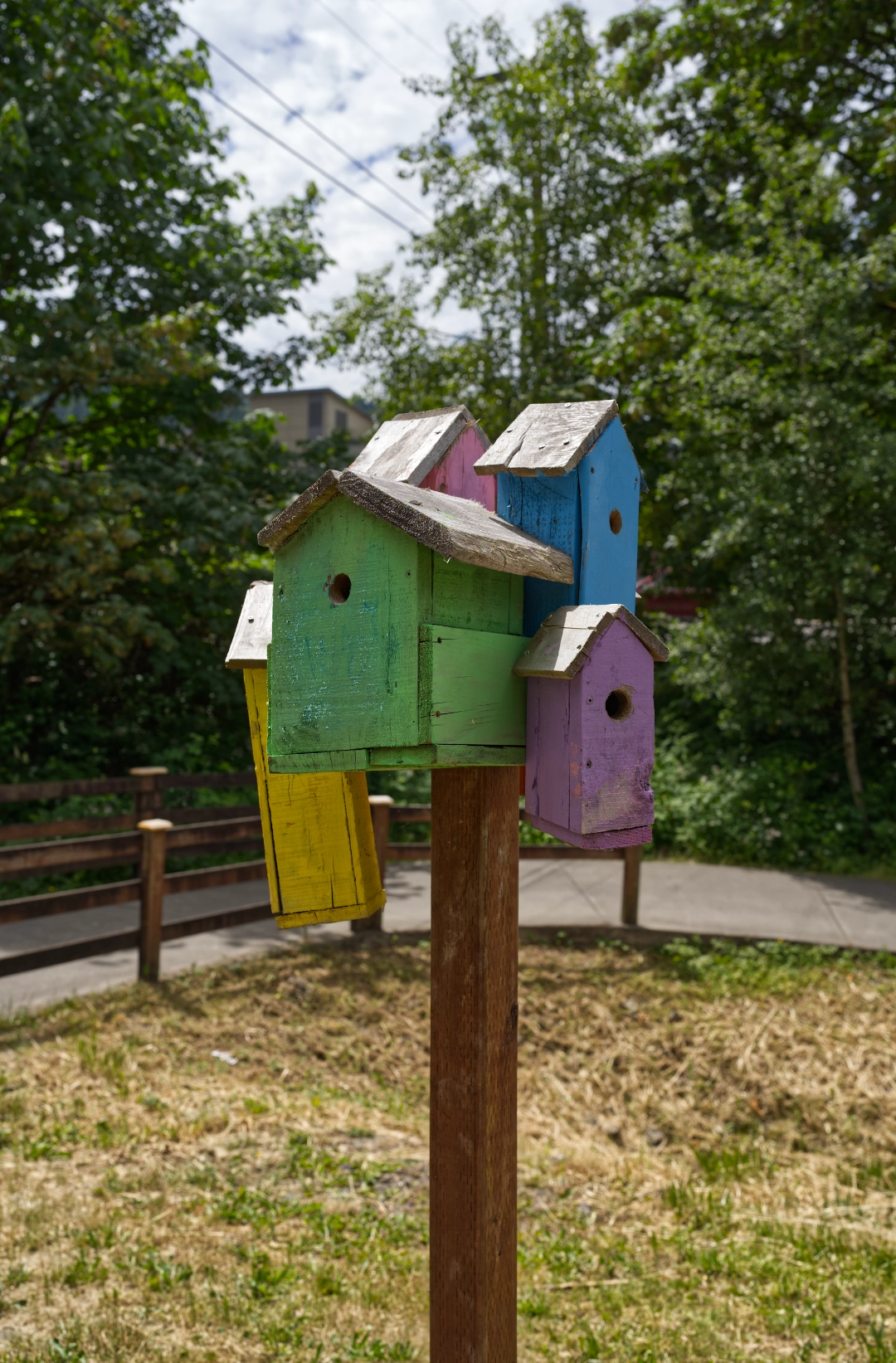 Birdhouses before a troll trail in Issaquah.