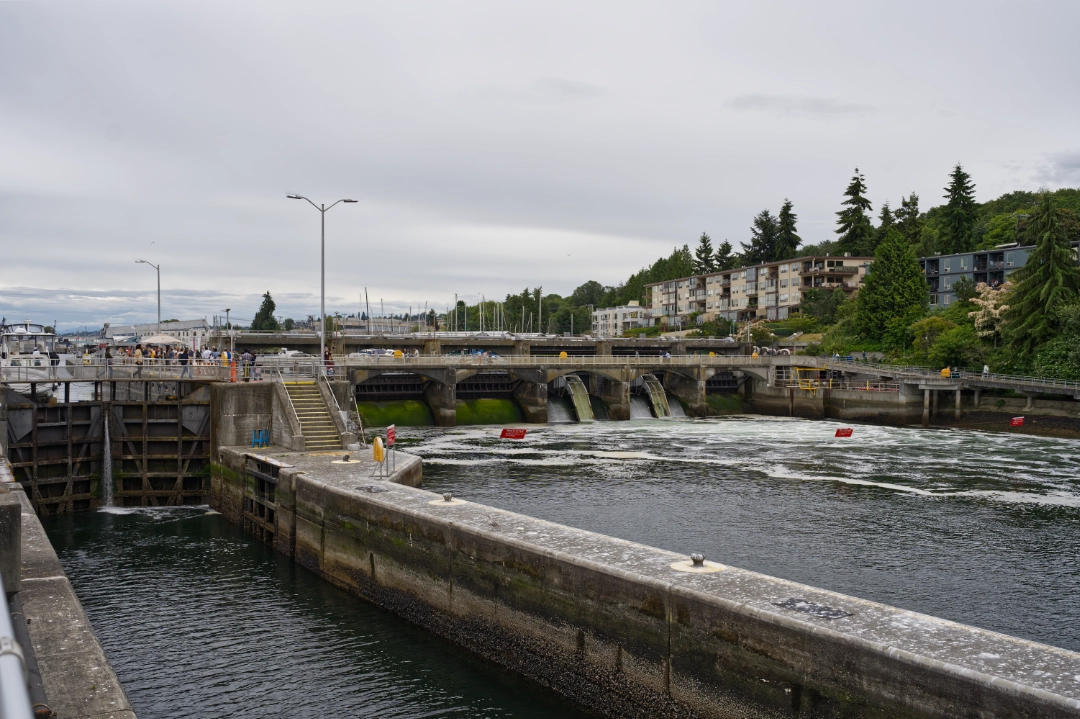 Ballard Locks.