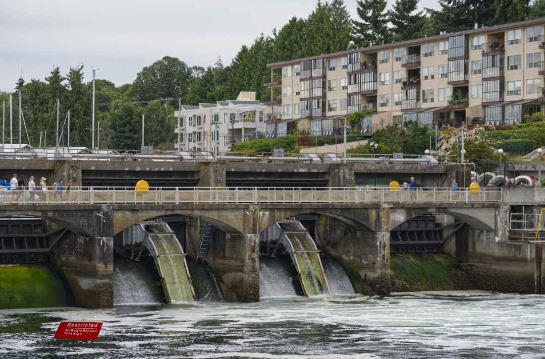 Ballard Locks.