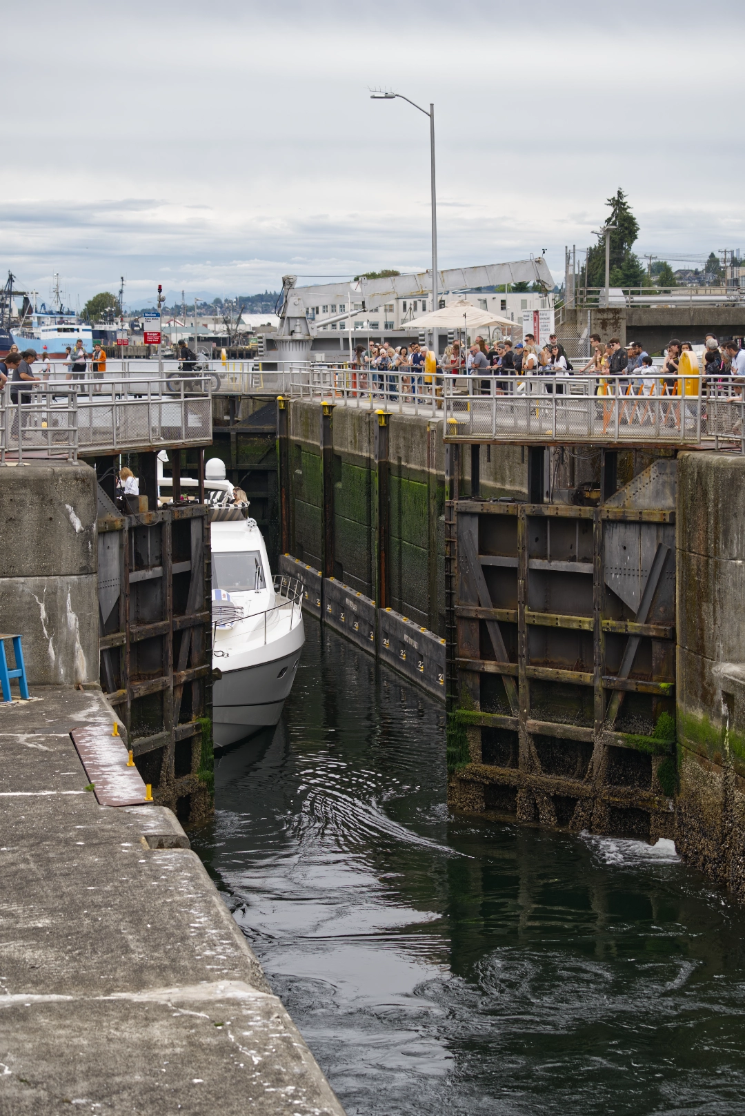 A boat passing through the Ballard Locks.