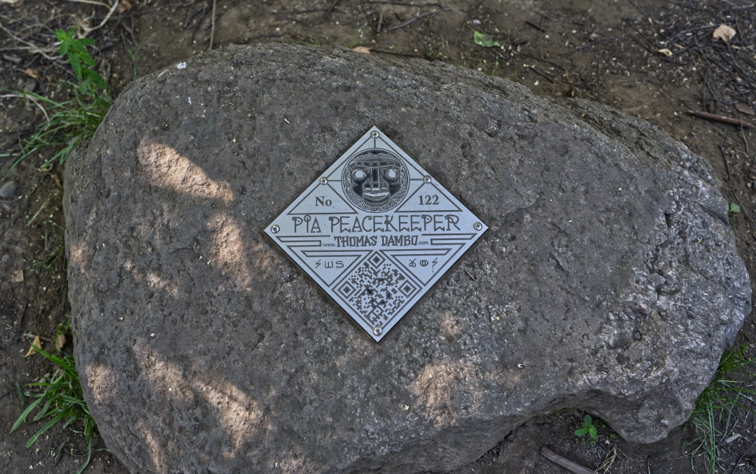 Pia the Peacekeeper marker on a rock near the troll.