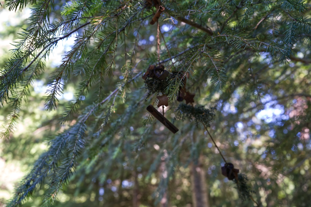 Pia's decorations in a nearby tree.