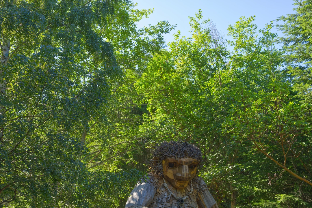 Pia the Peacekeeper surrounded by a green tree canopy.