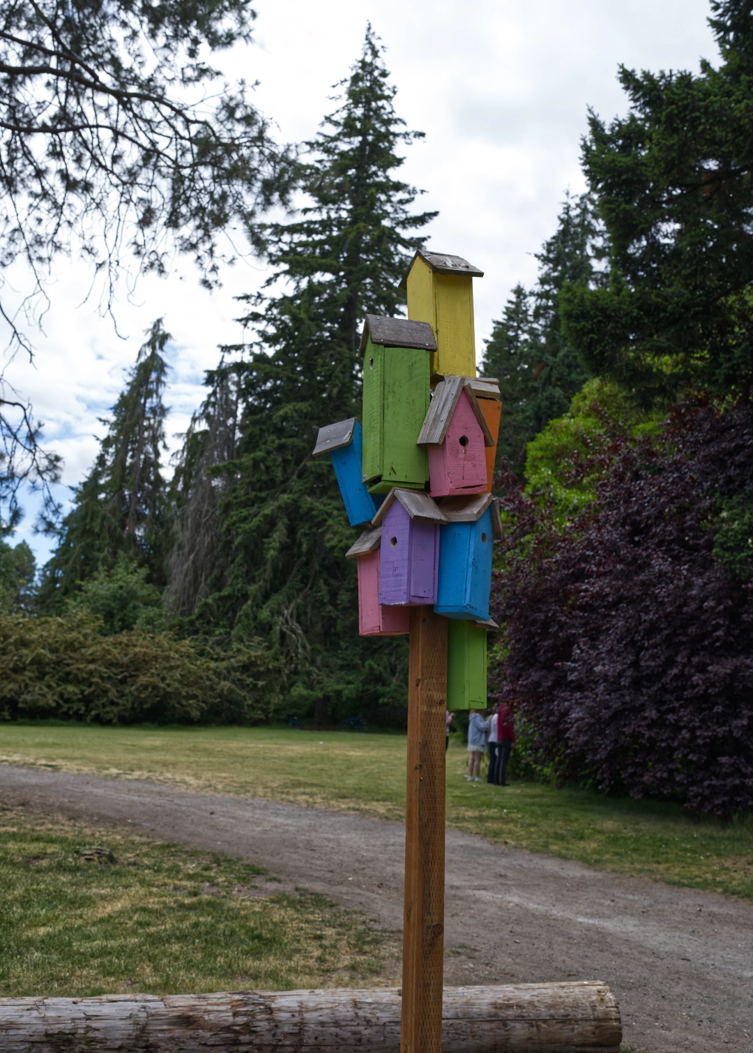 Birdhouses on the way back.