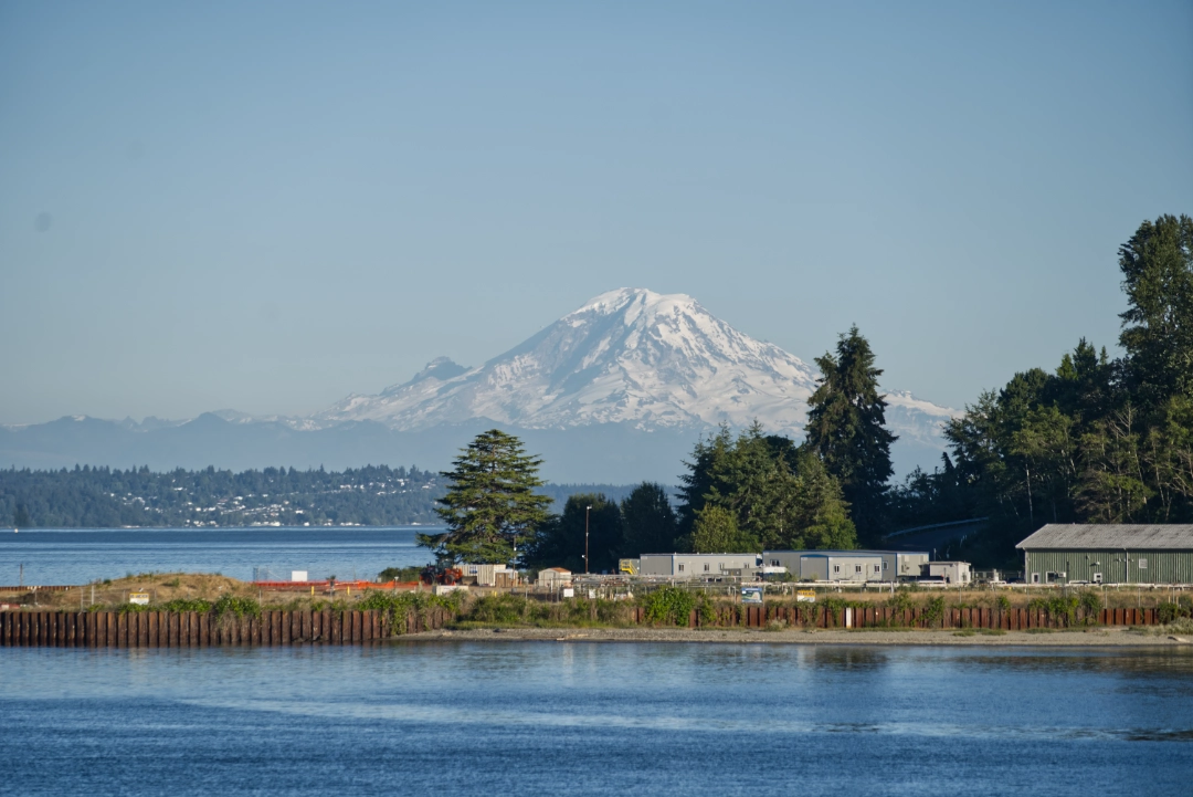 Mt. Rainier peeking through the trees at Bainbridge Island.