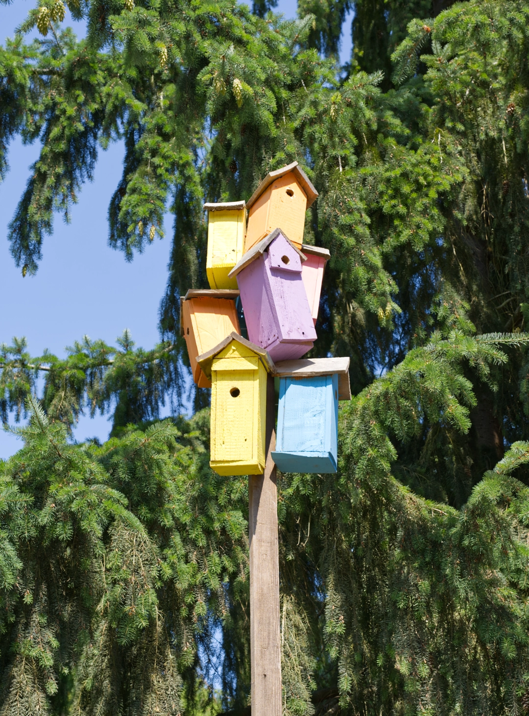 Birdhouses at the entrance to the Point Robinson Park on Vashon Island.