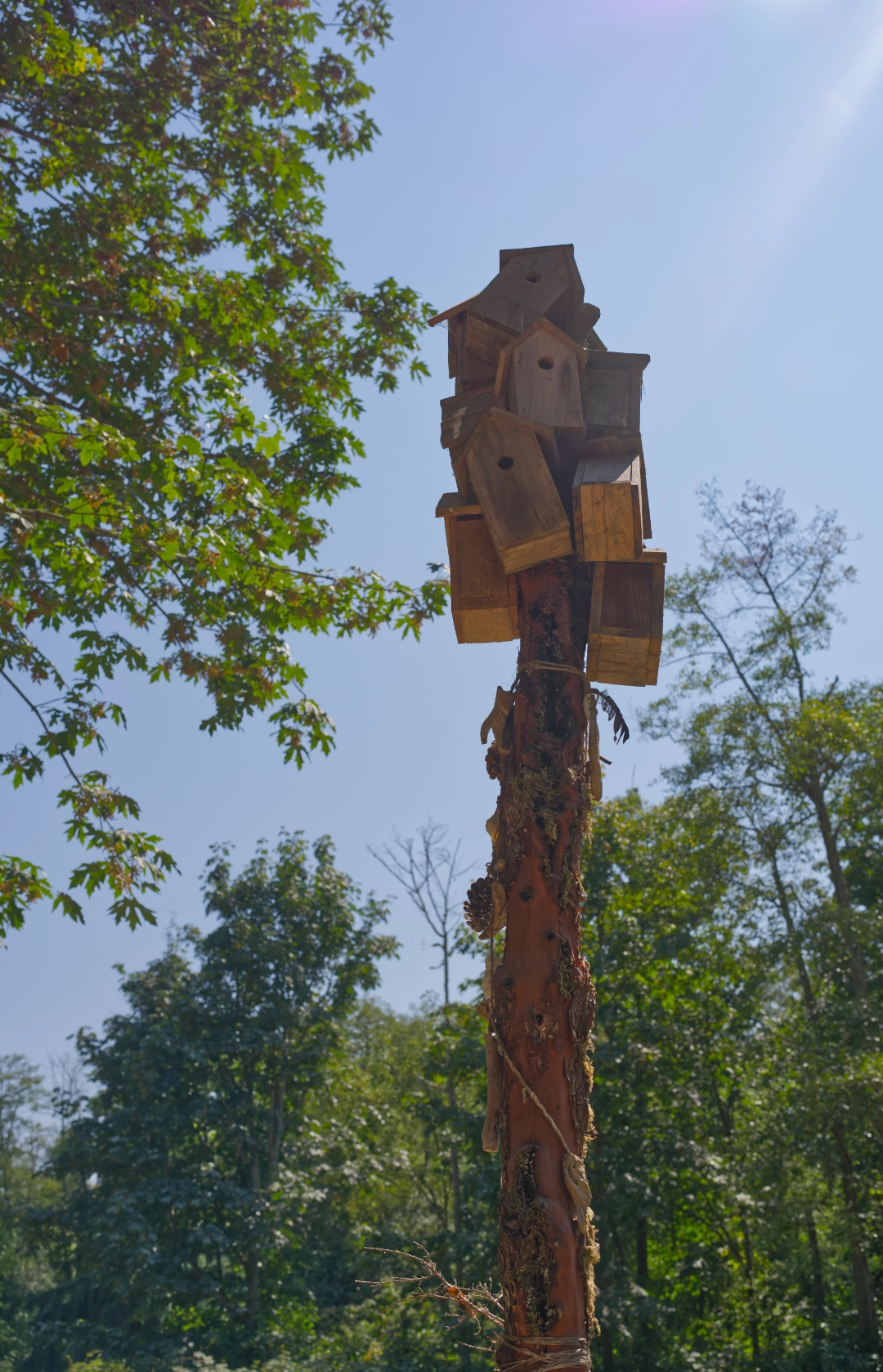 Oscar's custom birdhouses for his friends.