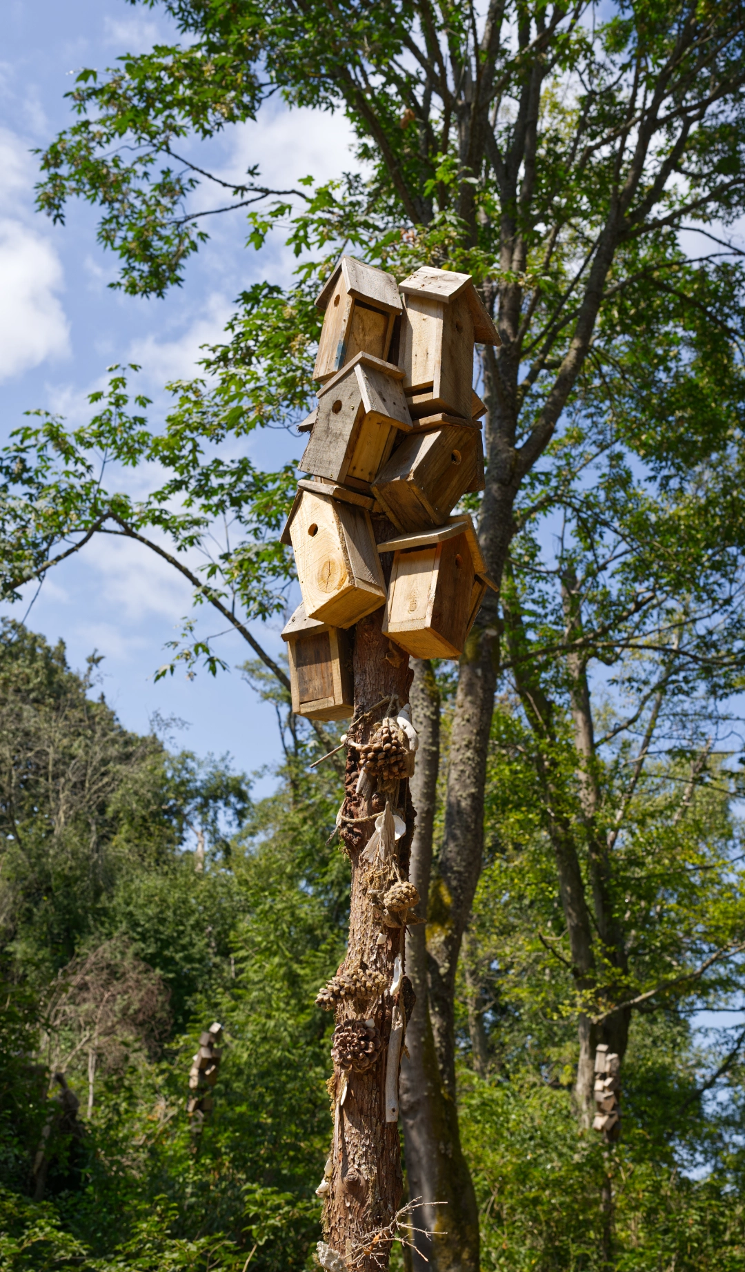 Oscar's custom birdhouses for his friends.