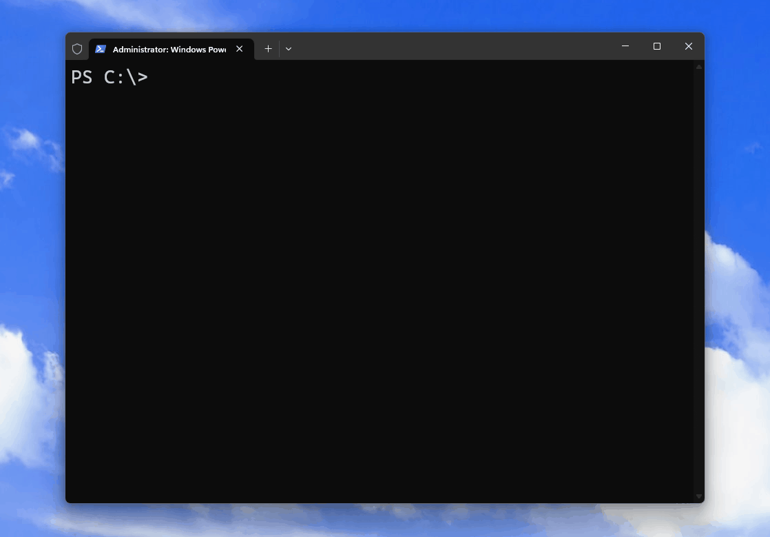 GIF of the whoami utility on Windows